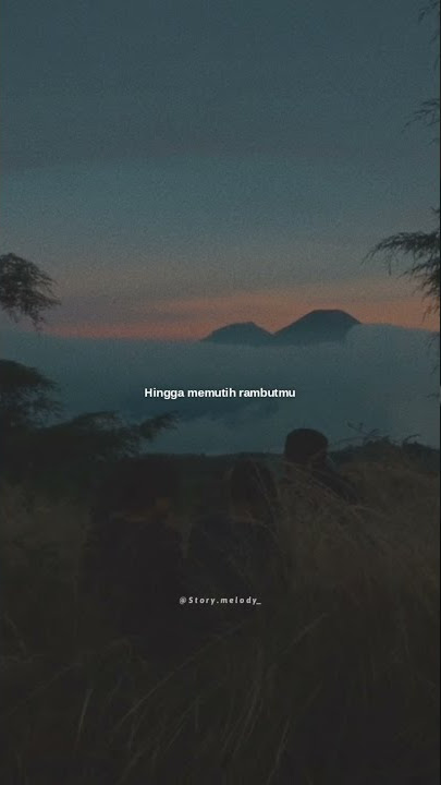 Story wa / Bahagia bersamamu - Haico