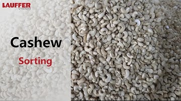 Sensor - based Optical Sorter Agriculture Products Sorting : Cashew