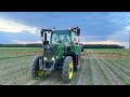 Powschodowe odchwaszczanie kukurydzy 🌽 [Vlog#16 2024]