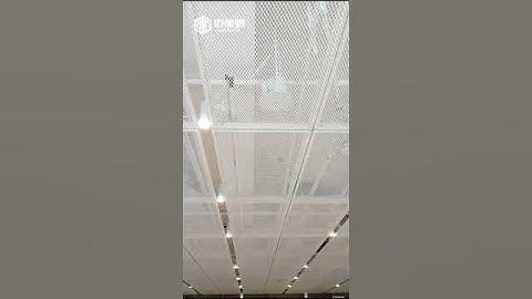 Insect prevention safety net