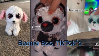 Beanie Boo TikTok’s | Cuddly Boos