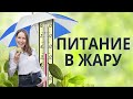 Как нужно питаться в жару, чтобы хорошо себя чувствовать?