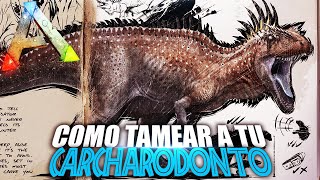 COMO TAMEAR A TU CARCHARODONTOSAURUS | Guia Español | Ark: Survival Evolved