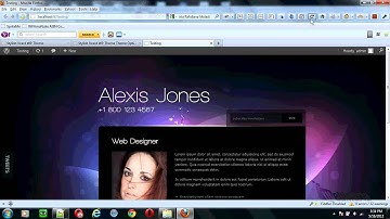 Setting Global - Stylish Vcard WP Theme