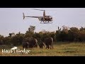 Flying over the Mara River with the Mara Elephant Project (MEP)