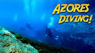 Underwater Adventures in the AZORES!