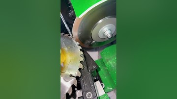 Máy mài lưỡi cưa tự động #lehungjsc #machine #nghềmộc #wood