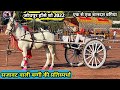 JODHPUR HORSE SHOW 2022