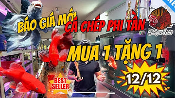 TRI ÂN CUỐI NĂM – MUA 1 TẶNG 1 GIÁNG SINH – SIÊU lợi , anh em vào săn deal hời nhanh nha !