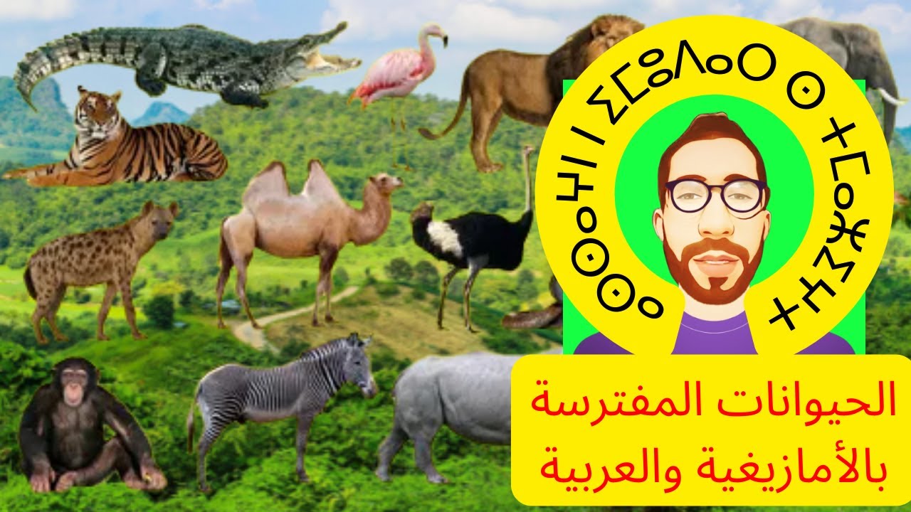 الحيوانات المفترسة وغير الأليفة باللغة الأمازيغية والعربية.