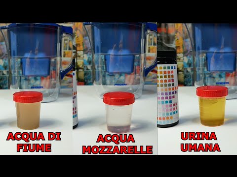 Video: Cosa rimuove l'acqua filtrata?