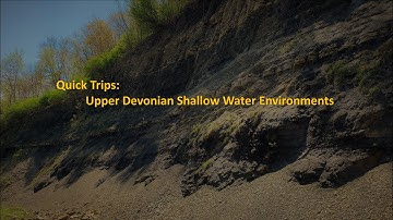 Quick Trips: Upper Devonian Shallow Marine Fossils