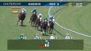 Gulfstream Park: June 25, 2016 Race 2