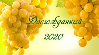 Долгожданный  2020