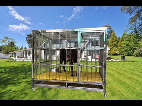 Đi lắp Chuồng Chó Malinois - Bec Bỉ buổi tối
