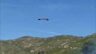 Joe_Ritewing_6S.wmv