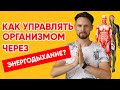 Управляем гормональной системой : Энергодыхание