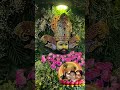 खाटू वाले श्याम ऐसी कृपा कर दे तो