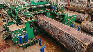 Inside the TITAN FACTORY: Processing Giant BLACK WALNUT (Billion-Dollar Luxury Furniture)