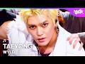 TAEYONG テヨン 태용 - WYLD [Music Bank] | KBS WORLD TV 260529