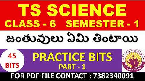 SCIENCE BITS IN TELUGU FOR DSC | 6TH SCIENCE MOST IMPORTANT BITS IN TELUGU | TS TET | TS TRT |TS DSC