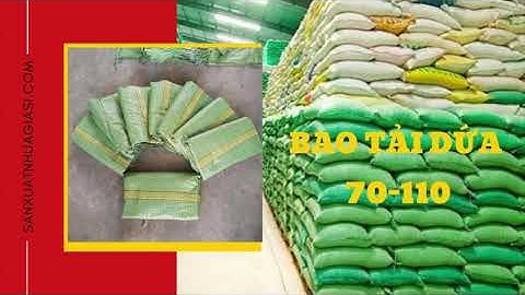 BAO TẢI DỨA GIÁ RẺ LÊ THANH