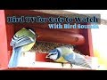 For cats  cat tv  bird sounds  katseltavaa kissoille  kissa tv