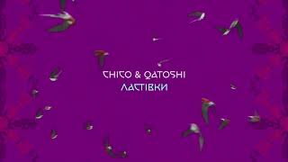 Chico Qatoshi - Ластівки