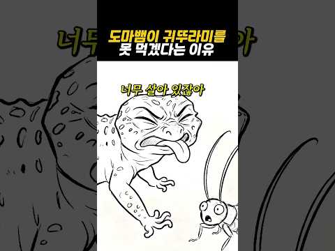 도마뱀이 밥을 거부하는 이유 thumbnail