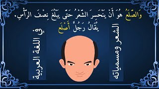 ترجمة و معنى الغلا بالإنجليزي في قاموس المعاني. قاموس عربي انجليزي ...