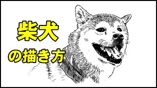 絵の描き方 なぞり絵 柴犬のイラストの描き方 How To Draw Shiba Inu Sketch Youtube