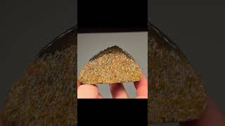 gem bone free form polished top and bottom