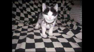 bpill - H4TEBOY (slowed and without intro)