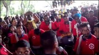 MAYA SHANGARY URUMI MELAM thaipusam 2016JB
