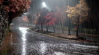 5 Hours of Gentle Night Rain, Rain Sounds for Sleeping - Beat insomnia, Relax, Study, Reduce Stress