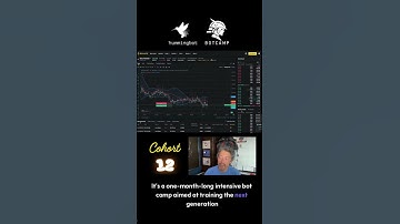 Botcamp Cohort 12  Starts in Sept #shorts