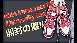 【開封の儀】ナイキダンクロー！Nike Dunk Low “St Johns”！University Red！DB0731-001