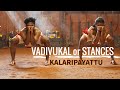 Vadivukal or stances of the combatant  kalaripayattu  kerala tourism