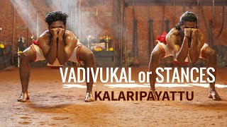 Vadivukal or Stances of the combatant | Kalaripayattu | Kerala Tourism