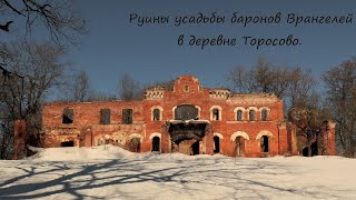 Руины усадьбы баронов Врангелей в деревне Торосово.