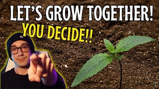 🌱 Let’s Grow Together: A Community Grow Story! Part 1: Choosing Seeds, Soil and MORE!!