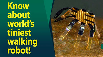 Scientists develop world’s tiniest remote-controlled walking robot!