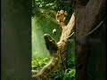 Monkey vs Snake: The Coconut Knockout 🥥🐍