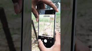 #camera #smartphone #nothing 3a Pro 5G ka camera test and photo quality test #youtubeshorts #tech