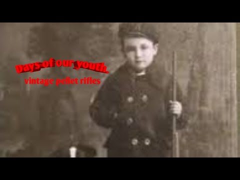 Vintage Air Rifles