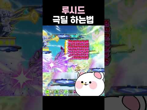 <strong>루시드</strong> 극딜 하는법