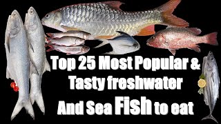 25 MOST POPULAR & TASTY FISH TO EAT IN INDIA