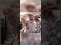 #المشهد_اليمني/أول تصريح لرئيس أركان الجيش اليمني بعد استهدافه بصاروخ حوثي