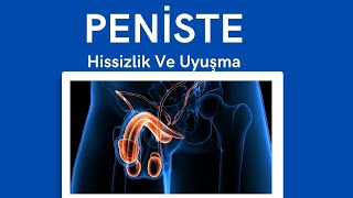 Peniste Hissizlik ve Uyuşma Neden Olur? - Prof. Dr. Ömer Faruk Karataş