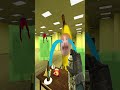 バナナ猫がバックルームでお勉強!! #gmod #bananacat #shorts
